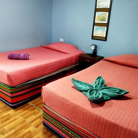 Hostal El Amigo Lucho サン・ペドロ・デ・アタカマ エクステリア 写真